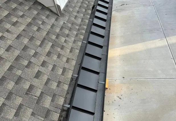 What is Gutter Cleaning?